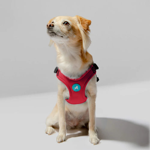 Gooby Escape Free Sport Harness