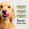 Instinct® RawBoost Real Beef Recipe Dry Dog Food