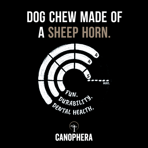 Canophera Sheep Horn Chews for Dogs