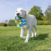 Petmate Chuckit! EcoFetch Recycled Rubber Flyer